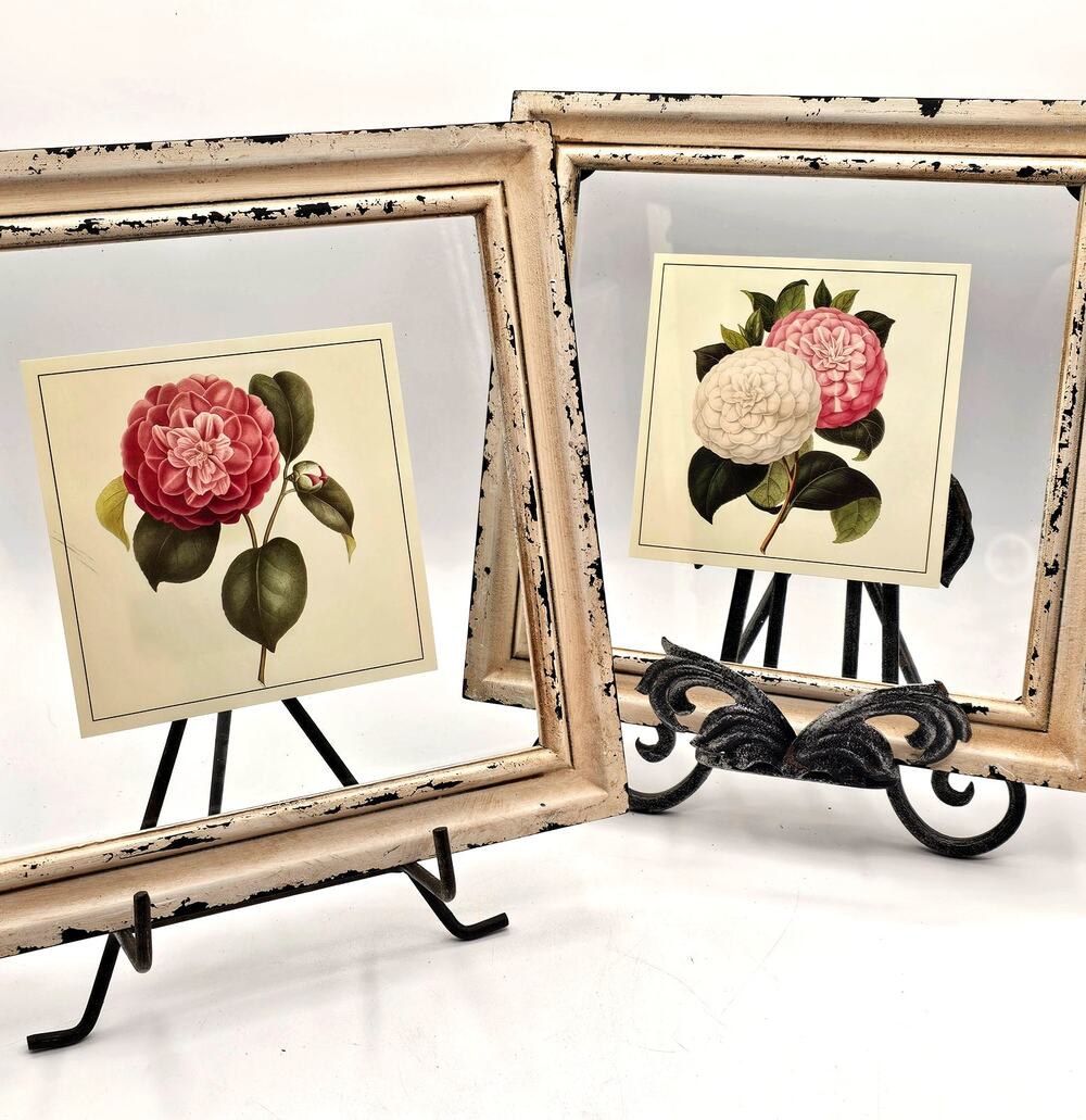 Set Of 2 Botanical Floral Prints Distressed Shabby Chic Camellia Framed Art